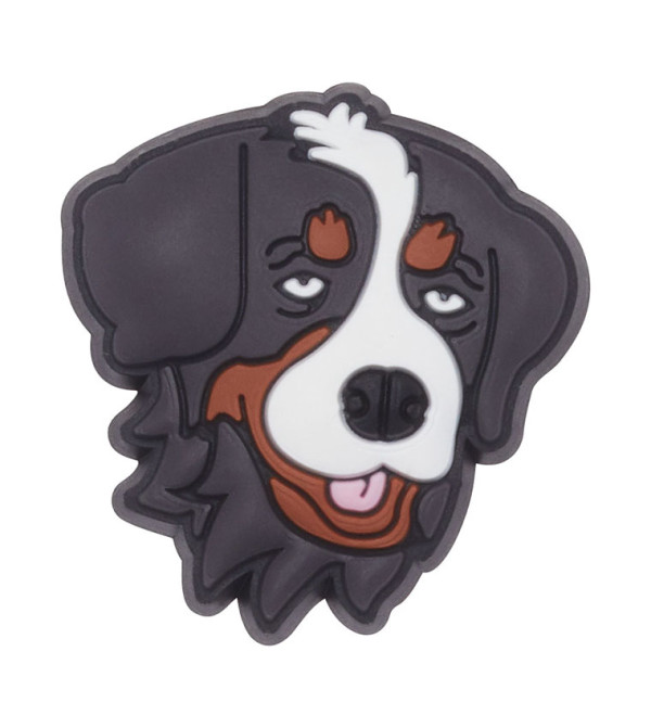 Bernese Mountain Dog