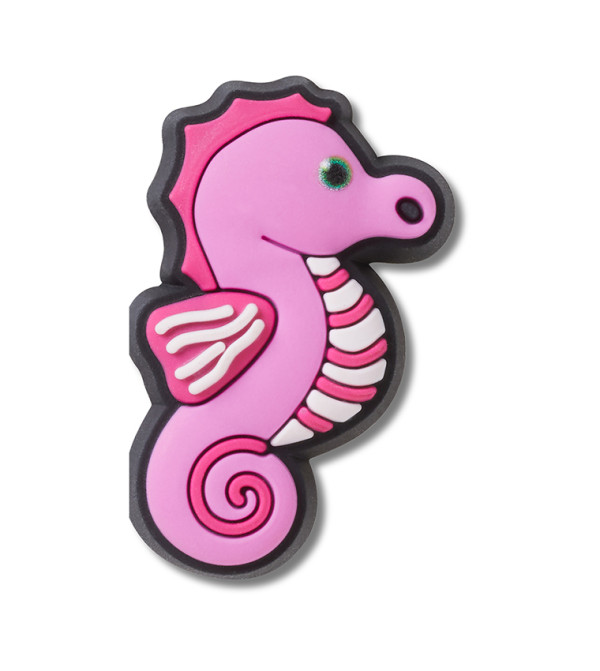 Baby Animal Seahorse