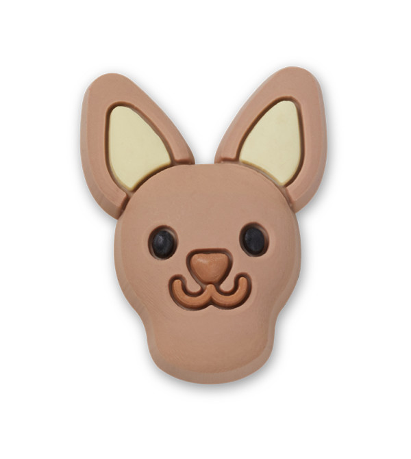 Tiny Chihuahua Face