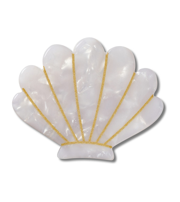 White and Gold Seashell