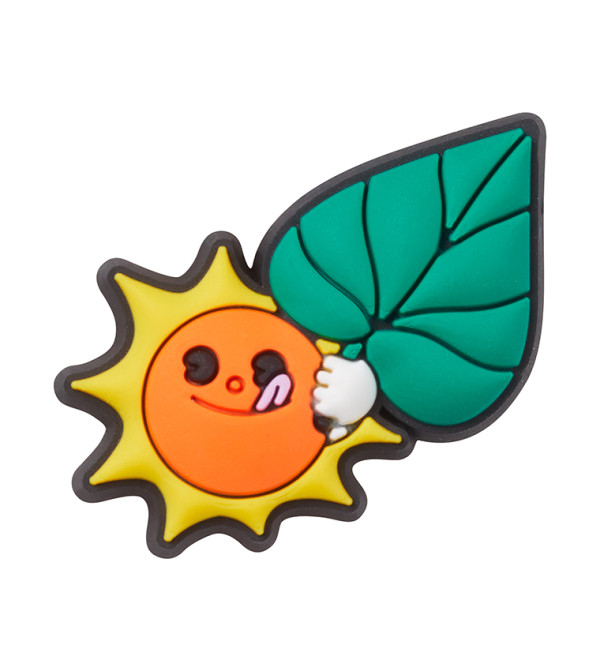 Sun and Leaf