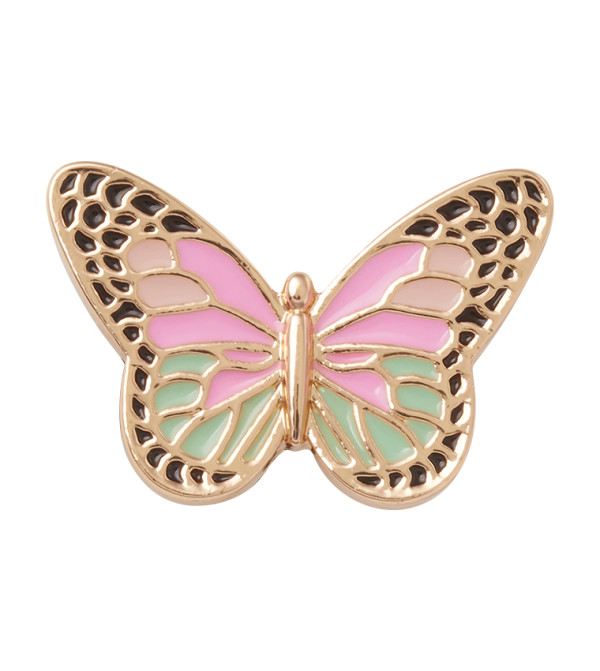 Elevated Colorful Butterfly