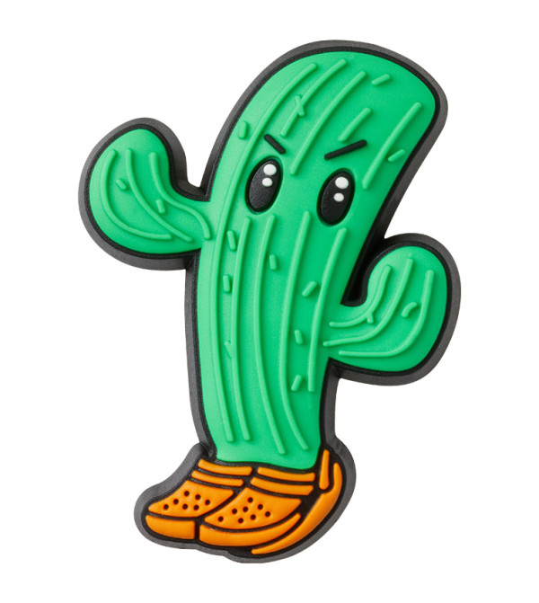 Cactus in Crocs Jibbitz