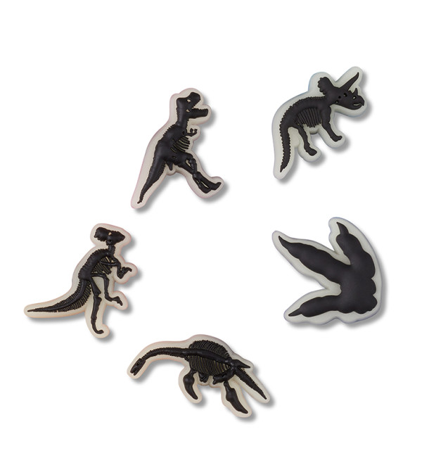 Glow In The Dark Dino 5 Pack