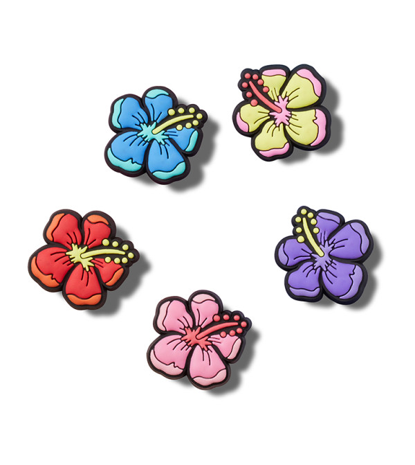 Hibiscus 5 Pack