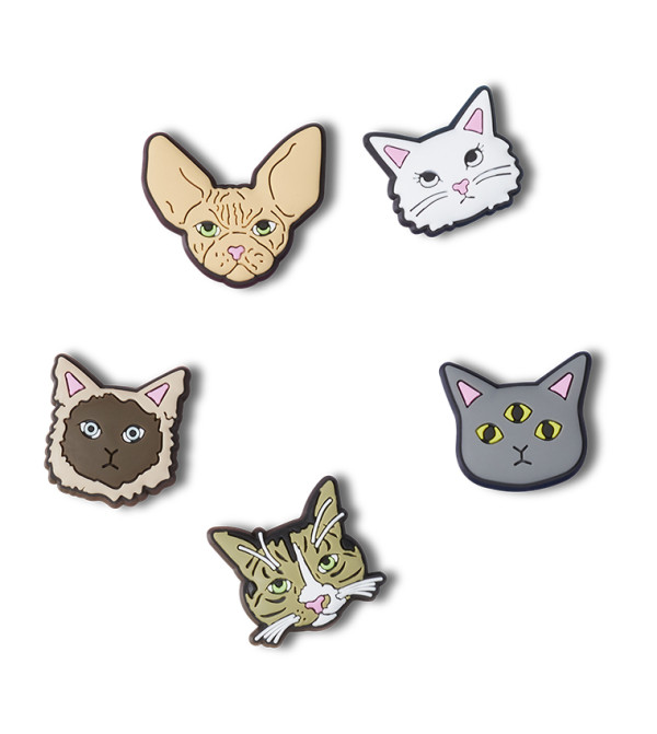 10012162_001_ALT100