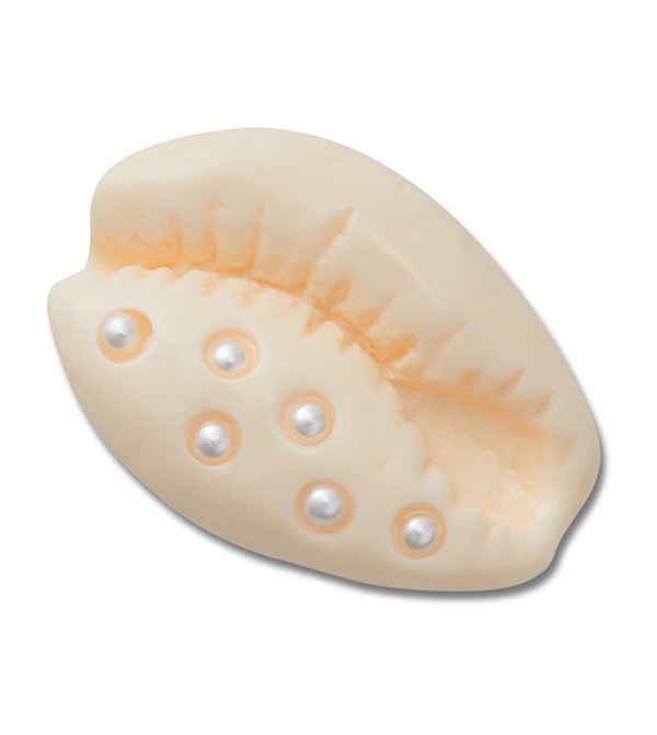 Pearl Puka Shell