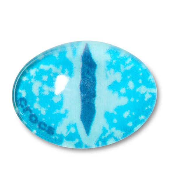 Blue Animal Eye