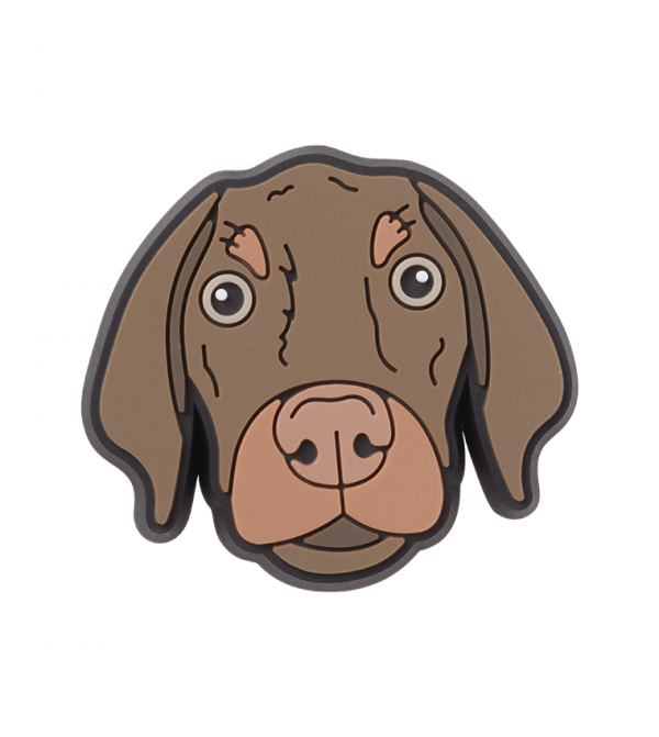 Bronny Dog