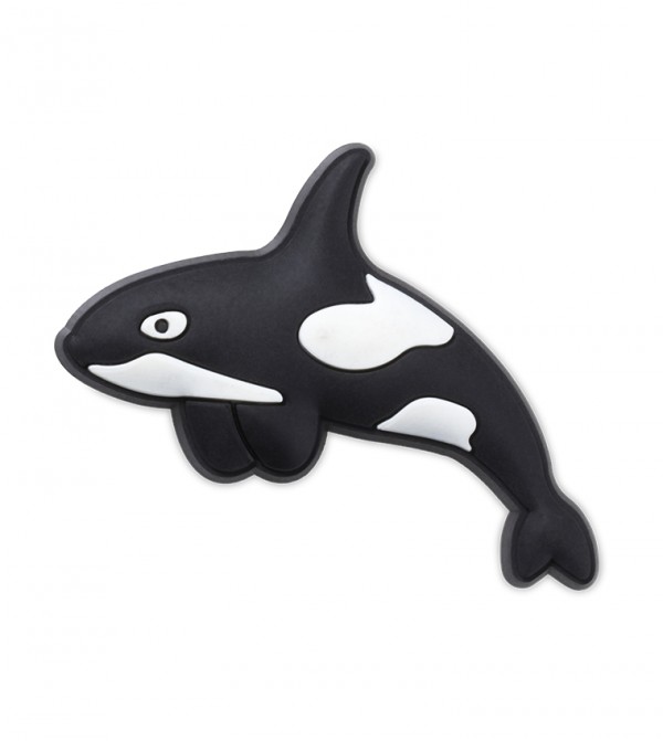 Arctic Orca