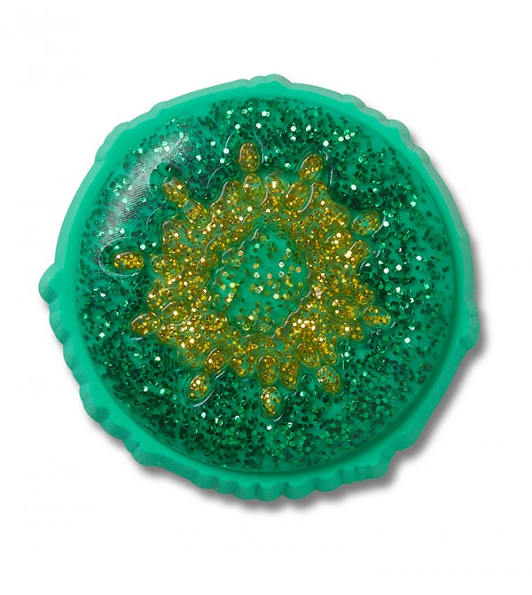 Sparkle Kiwi