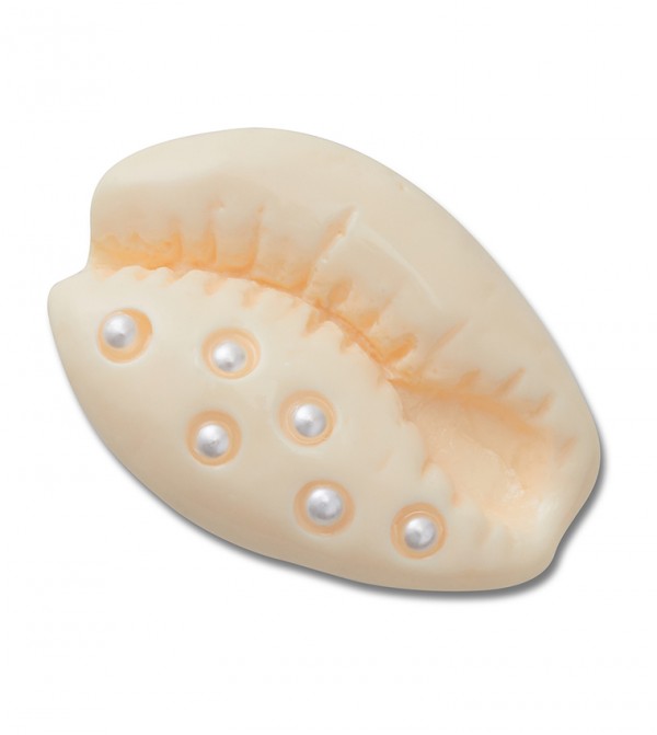 Pearl Puka Shell