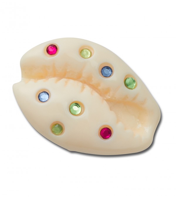 Gem Puka Shell