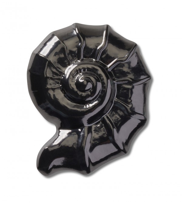 Dark Swirl Shell