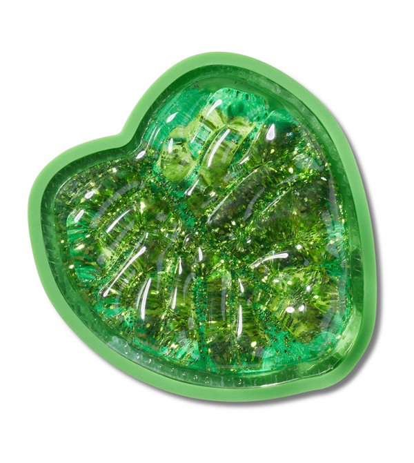 سكويش مونستيرا ليف