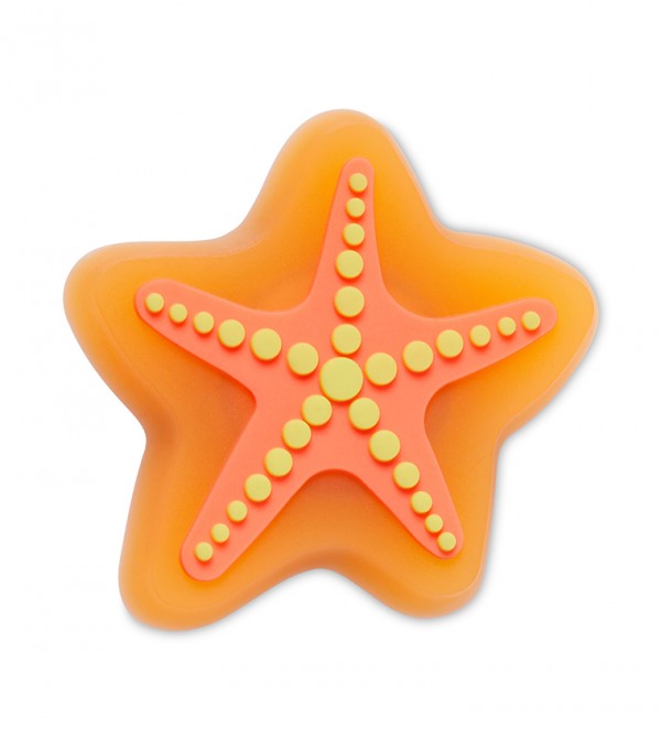 Lights Up Starfish