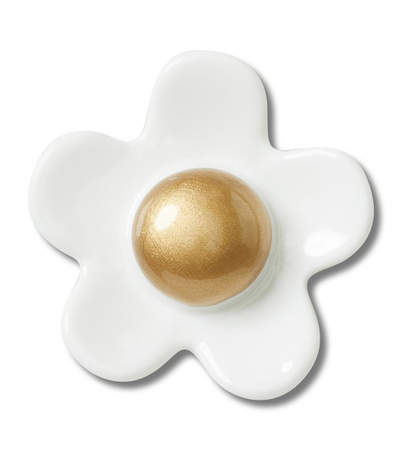 White Daisy with Gold Center