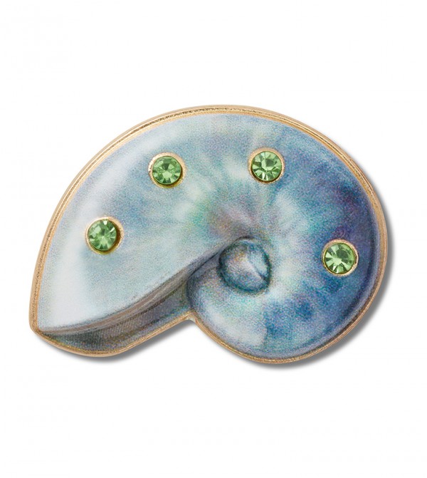 Light Swirl Shell