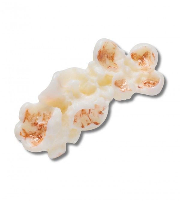 CR-10016704-001-ALT100_RESULT